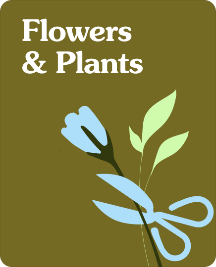 Flowers and Plants Classes Online